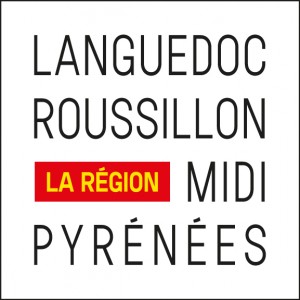 Region-LR-MP Identite-provisoire-CARRE-Couleur 2 dec 2015